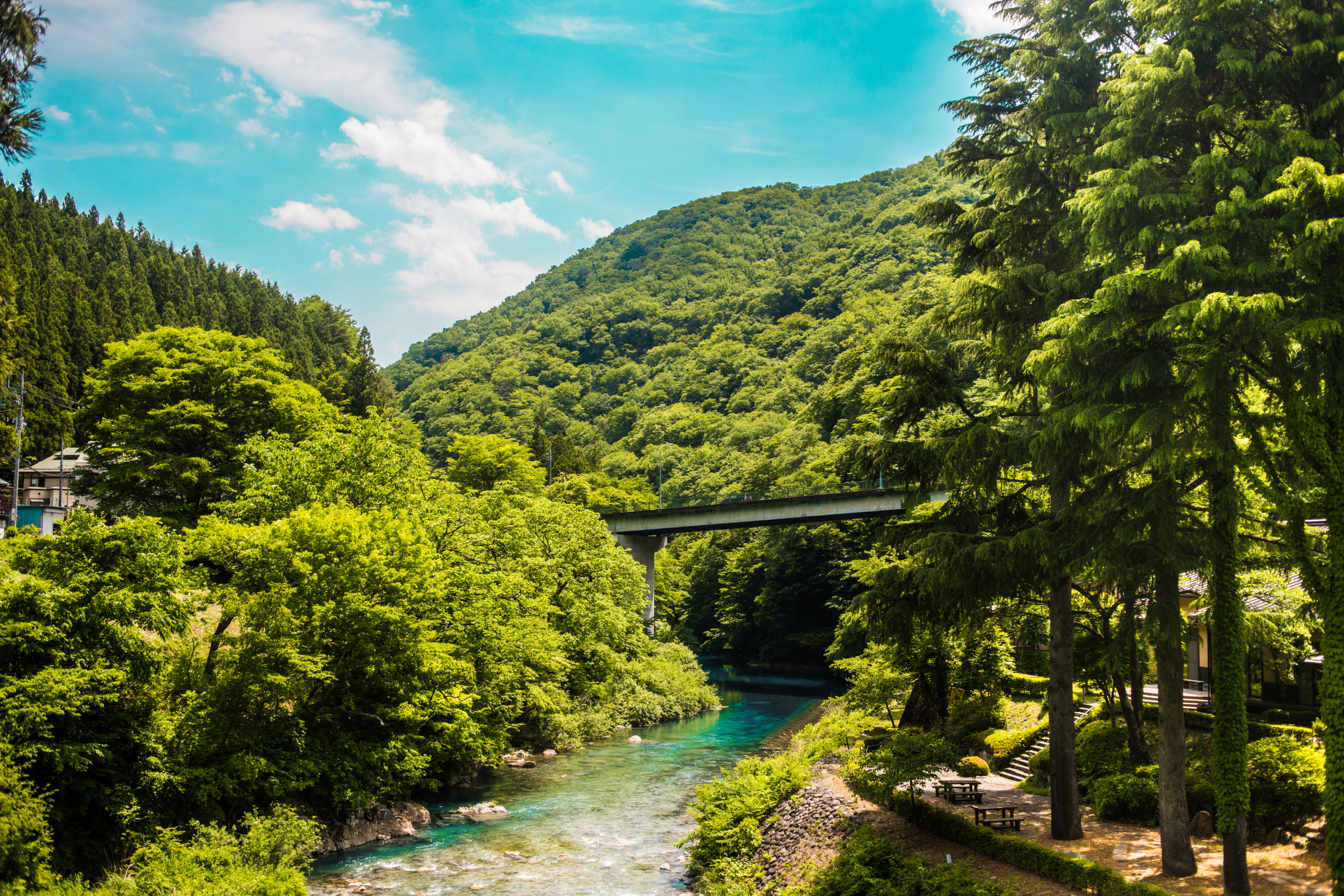 ise-shima national park.webp